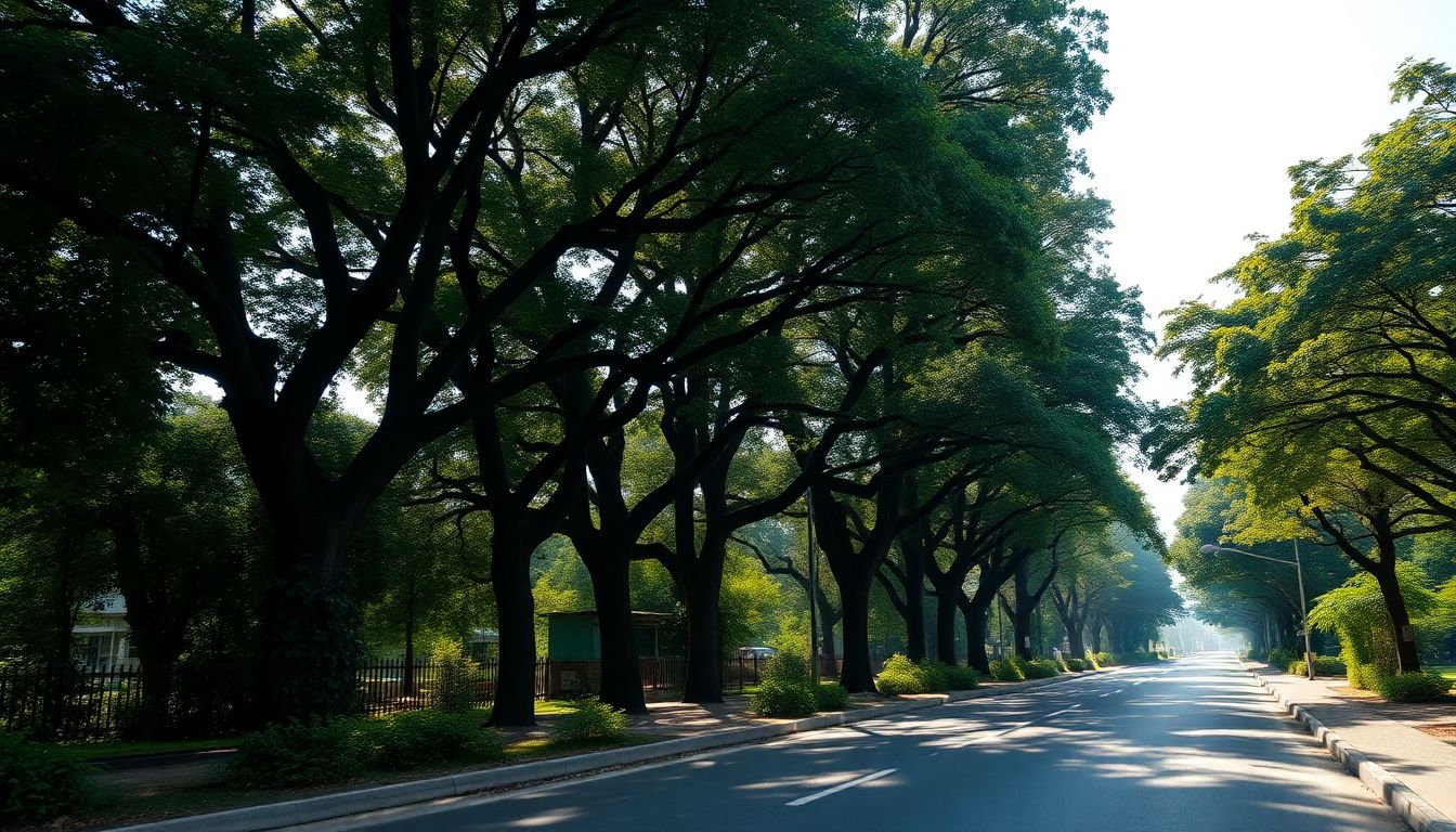 BMC Tree Authority Clears Removal of 251 Trees for BARC Road Project